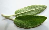 Nutritional and Functional Medicine Consultations by Sageheart Nutrition