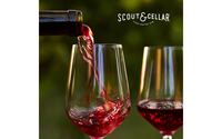 Wine tastings by  Karola Cavagna Scout and Cellar Clean Crafted Wines Independent consultant