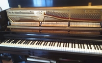 Piano Tuning & Repairs by Beard Piano Tuning