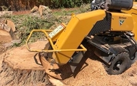 Stump grinding  by Takem Out Tree Service
