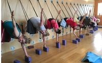 Yoga Classes ON ZOOM! by Shakti Yoga & Living Arts