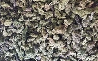 Space Candy Hemp Flower by Colorado Green Hemp Inc.