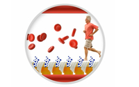 Open Your Internal Pharmacy-Workshop by the Health and Wellness Coach