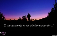 Keynote Speaker - Leadership/Followership or Cancer Survivor by CMF Leadership Consulting/S.C.O.R.E. Performance Counseling
