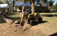 Stump Grinding by Kevin’s Tree Service