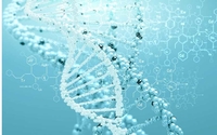 Micronutrient Deficiency Test by VITALITY SCIENCES