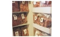 Raw Pet Food  by Chris's Dog Hotel No Cages Luxury Pet Resort