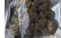 Lifter Smokeable Hemp Flower by Colorado Green Hemp Inc.