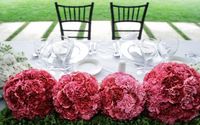 Help Me Get Started! by P & T Party Planners