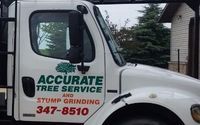 TREE SERVICE, TREE REMOVAL, TREE TRIMMING AND STUMP GRINDING by Accurate Tree Service and Stump Grinding, LLC - PHONE: 608-347-8510