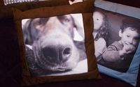 Photo Pillows by Christine Foster Photo