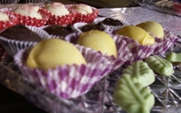 Wine & Chocolate pairings by Northleaf Winery