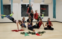 Aerial Fitness Studio for Sale by AIR Anchorage Aerial Fitness