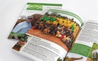 Print Marketing Materials by Design Dog Studio