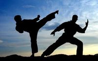 Martial Arts Training  - Karate, Kickboxing, Jiu-jitsu by North Augusta Martial Arts