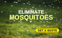 100% Organic Mosquito, Tick and Flea Treatments by Visions Greenworks LLC