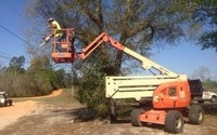 Tree Trimming by DN Bobcat Service
