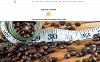 Building and/or Redesigning Websites by Prime Media Designs