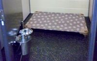 Overnight Pet Boarding by NAWS Humane Society of Illinois