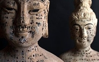 Traditional Chinese Medicine by BodaHealth