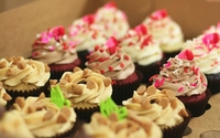 Custom Cupcakes by JB's Sweet Addiction