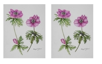 Botanical Illustrations by MJ Galleries