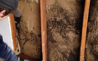 Mold Testing and Remediation / Removal by 3Rs Construction & Remodeling