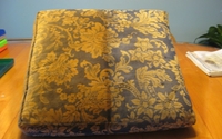 Upholstery cleaning by Premier Clean & Restore
