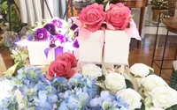 Fragrances by Watkins Flowers of Distinction