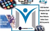 Media Package by Stampede Hosting