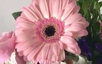 Floral Arrangements by Flowers by David