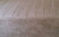 Residential Carpet Cleaning by Neighborhood Carpet & Upholstery Cleaning