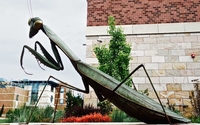 We work for sculptors.  We cast fine silicon bronze by Lands End Sculpture Center