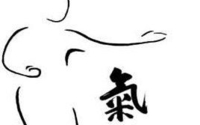 Qigong by Wuji Xuan Life Wellness