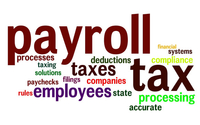 Payroll Processing by Olive Tree Growth Partners