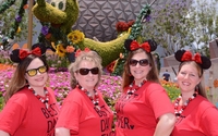 HEAT Team by Happily Ever After Travel