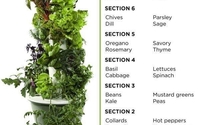 Tower Gardens  by Amb. Dr. Darryl Horton 