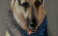 Children & Pet portraits by Arts d' Tryon Studio