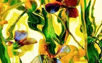 Wild flowers by andrzej pluta fine art photography. 