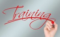 Training Programs by Stephen Doyle Jr Master Business and Executive Coach
