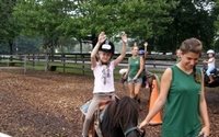 Pony & Horse/wagon rides for Company Picnics by Seaton Hackney Stables