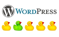 Wordpress Site Design and Maintenance by A Street Web Design