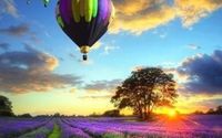 Full Travel Agency by Calenda's Vacations - Dream Vacations - Monica Calenda