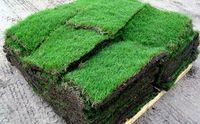 Lawn maintenance / Landscape supplies by Millennium Services of Tampa Bay, INC.