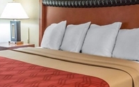 Hotel Room and Drinks at Bar by KMD Hospitality Management LLC