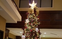Holiday Decorating  by JW Nash & co.
