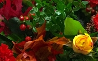 Full service flowers shop with delivery service in the GTA and the suburbs! by Bernard Thibault Floral Artistry