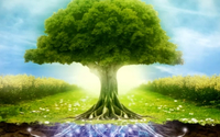 Functional Medicine Assessment & Treatment Plan by Women's Hormone Health