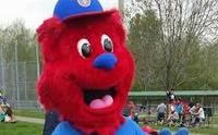 Fun Times in the Party Zone by The Ottawa Champions Baseball Club