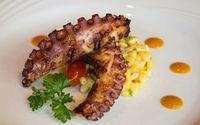 Grilled Octopus by The Fez Bar & Restaurant